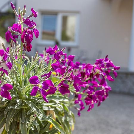 Apartment Ana Polje  Kültér fotó